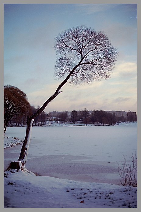 photo "Coldly (1)" tags: landscape, architecture, winter