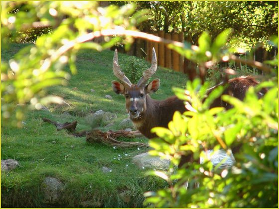 photo "...caught..." tags: nature, travel, wild animals