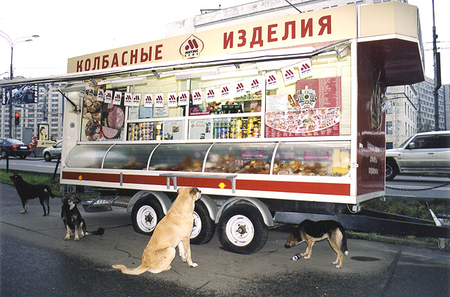фото "Осада или dogs&hotdogs" метки: репортаж, природа, домашние животные