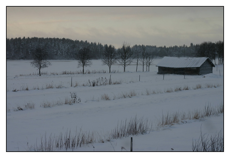 photo "Finnish Winter" tags: landscape, winter