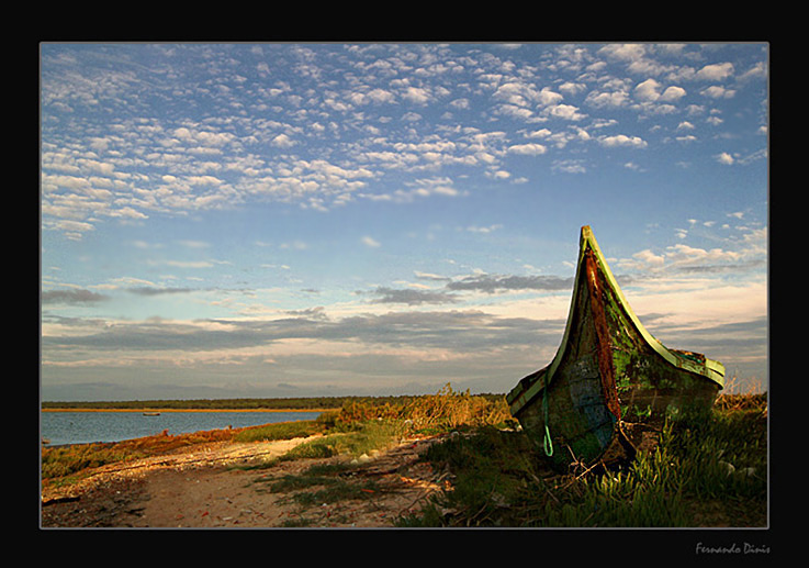 photo "Better days will come" tags: landscape, genre, spring