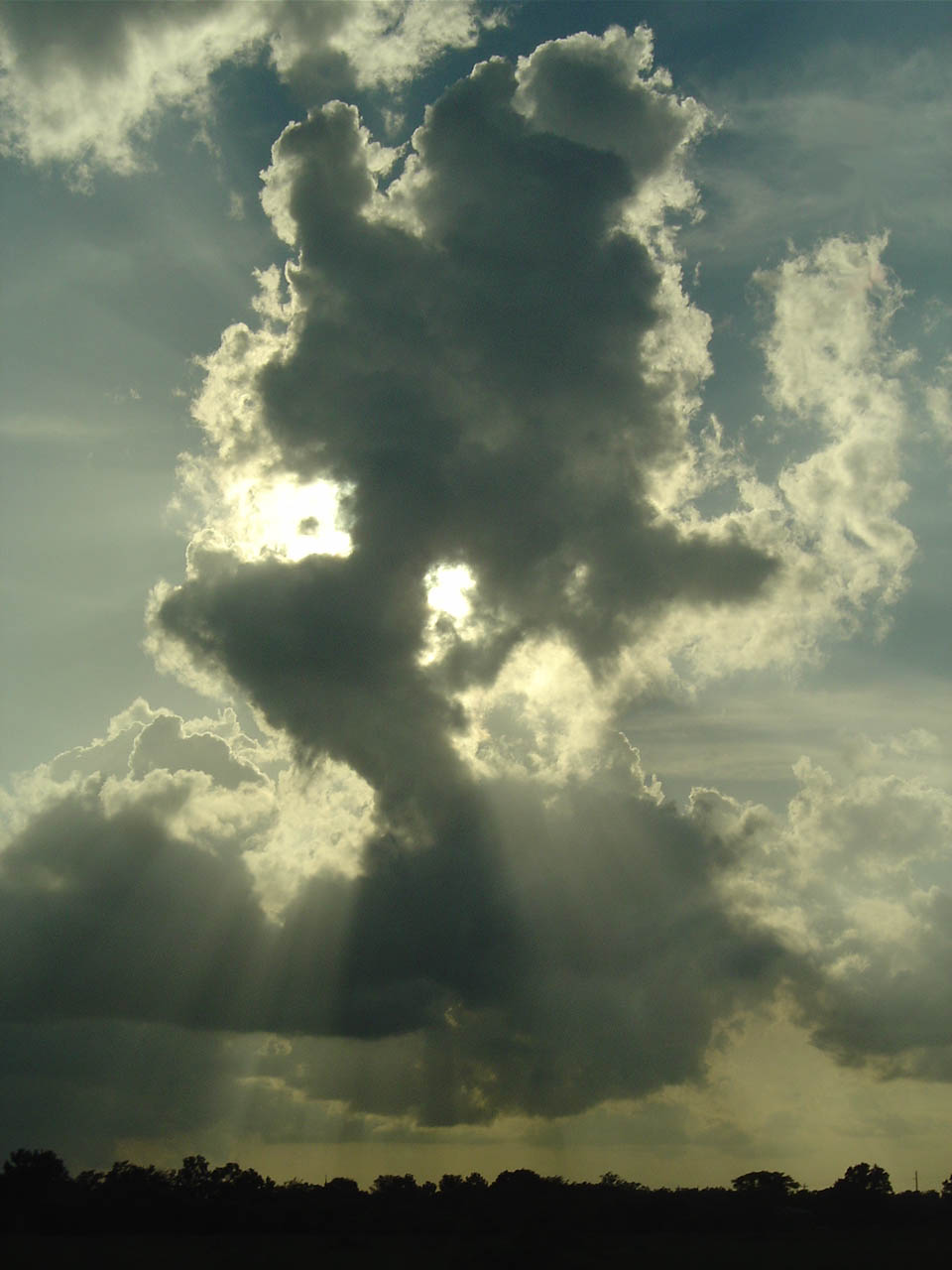 photo "angel" tags: misc., 