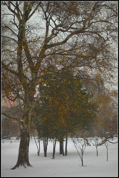 фото "Александровский сад" метки: пейзаж, разное, осень