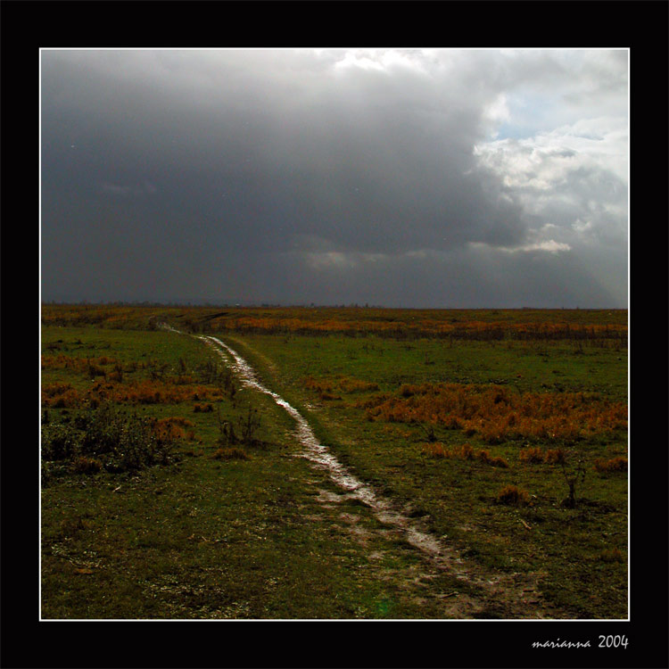 photo "Rain" tags: misc., landscape, autumn