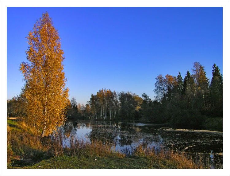 photo "Untitled photo" tags: landscape, autumn, water