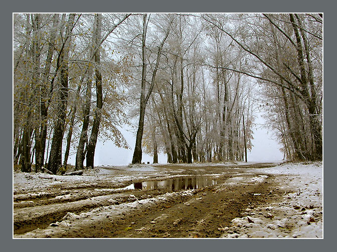 фото "Слякоть" метки: пейзаж, зима, лес