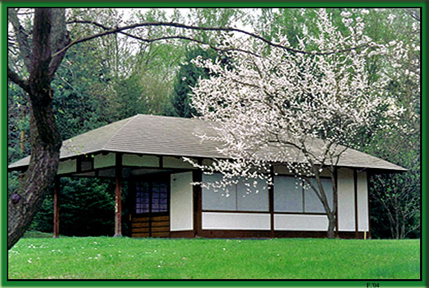 photo "The house under the sakura" tags: landscape, portrait, spring