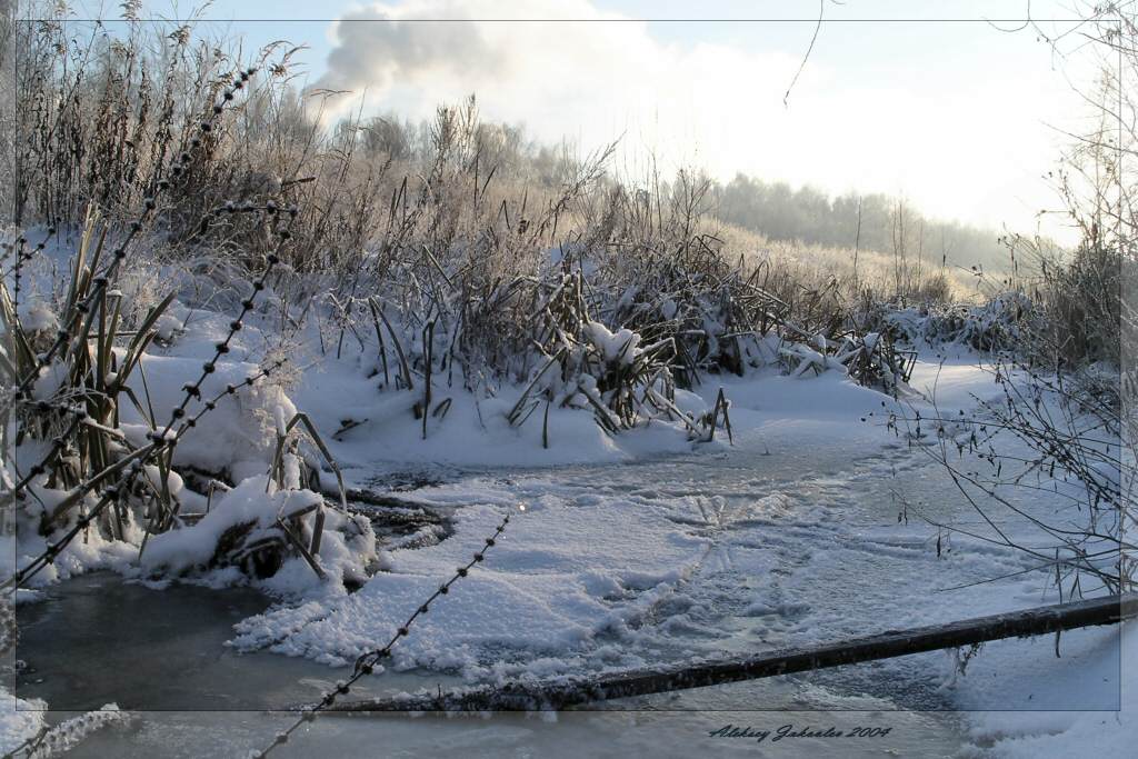 photo "Creek in devil of the city" tags: landscape, water, winter