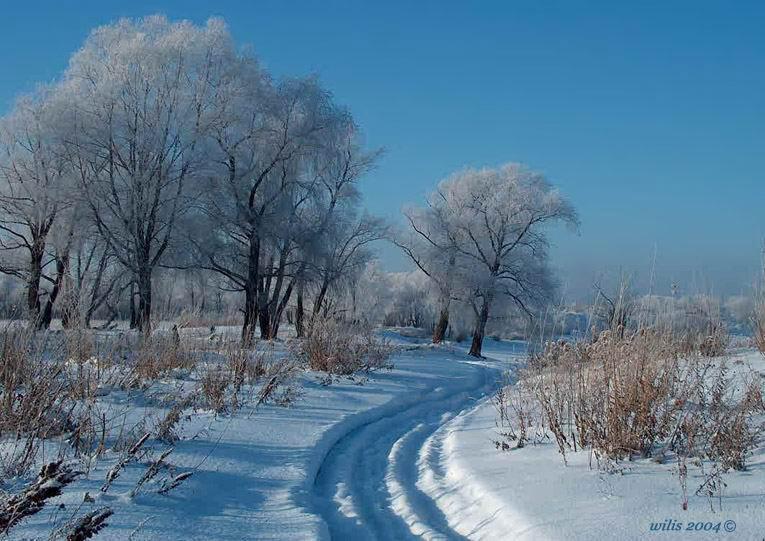 photo "****" tags: landscape, winter