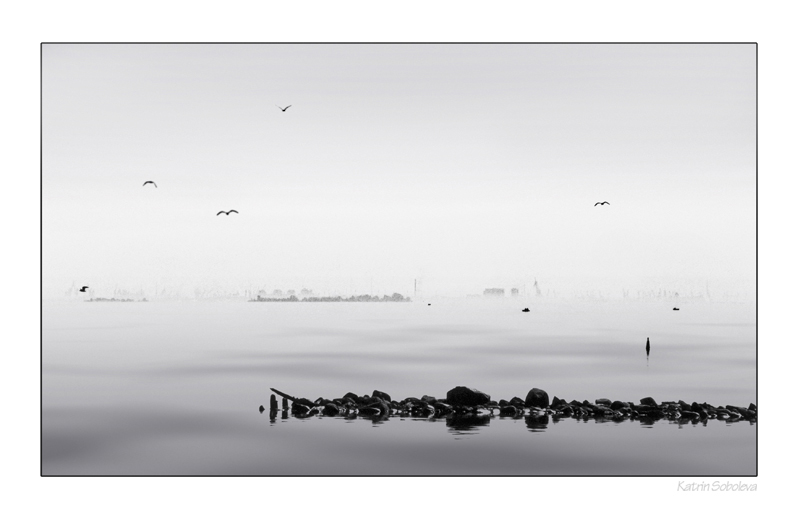 photo "Silence" tags: black&white, landscape, water