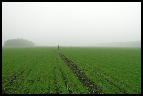 photo "Hunting on ozimka." tags: landscape, nature, 