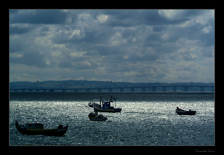 photo "Bath of light" tags: landscape, water