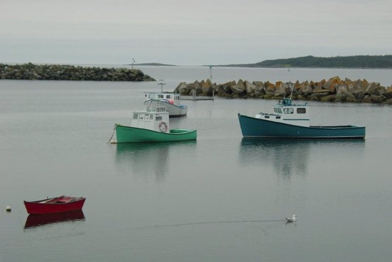 photo "Calm Harbor" tags: landscape, water