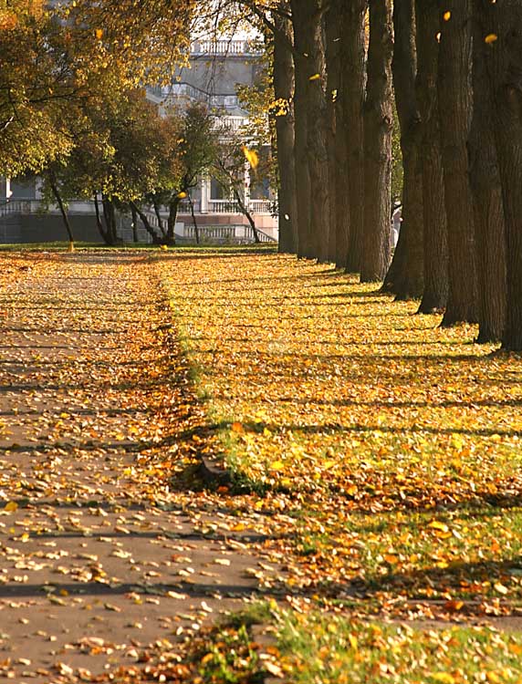photo "Autumn mood" tags: landscape, autumn