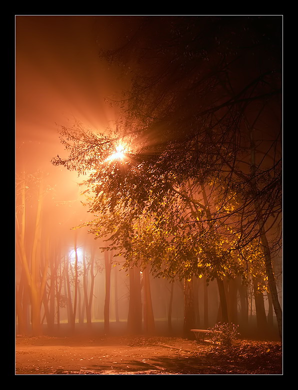 фото "Auschwitz at night" метки: разное, 