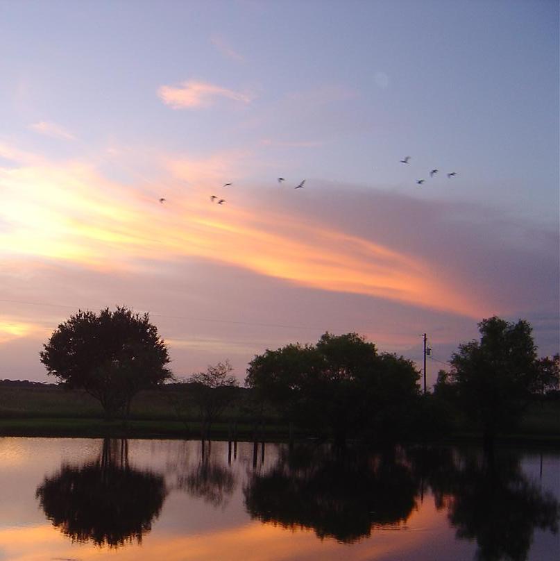 photo "just a sky" tags: misc., 
