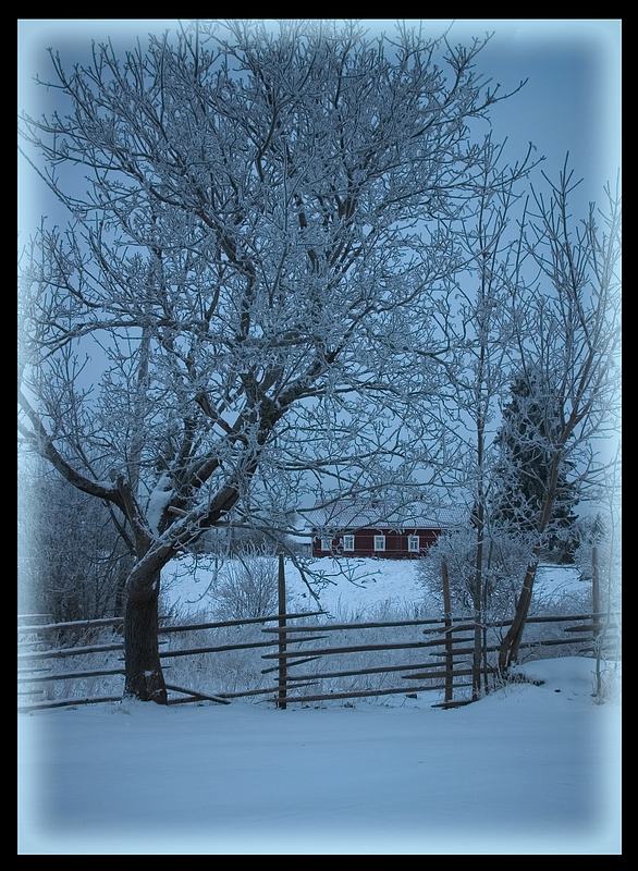 фото "Winter evening" метки: пейзаж, зима