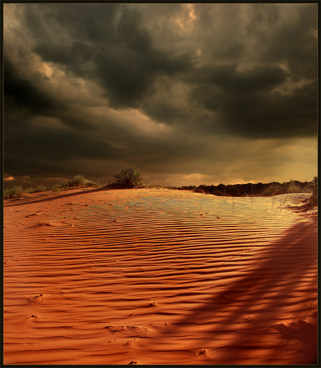 фото "Coral Pink Sand Dunes" метки: разное, 