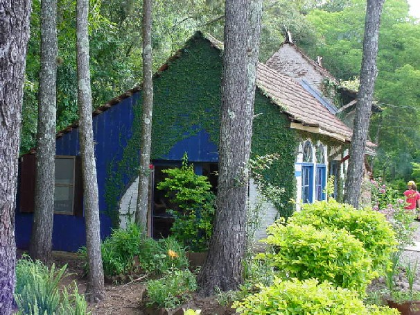 photo "Green on blue" tags: nature, landscape, flowers, forest