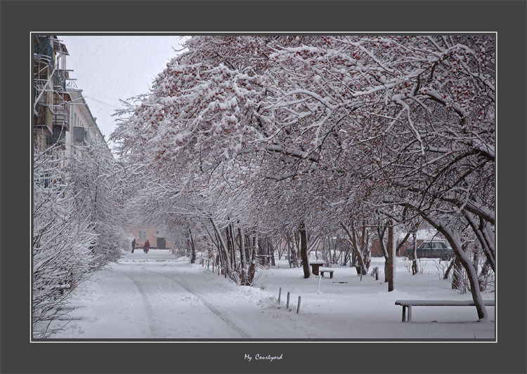 photo "My Courtyard" tags: architecture, landscape, winter