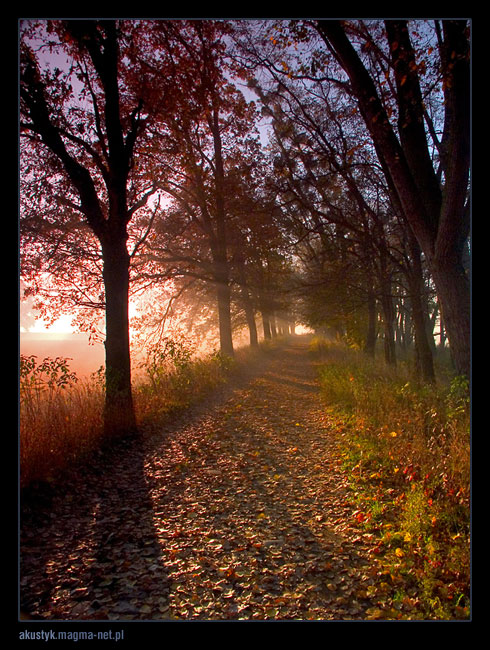 photo "odra 3" tags: landscape, autumn, sunset