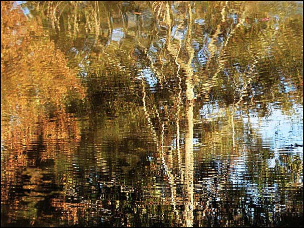 фото "The Language of Water" метки: абстракция, пейзаж, вода