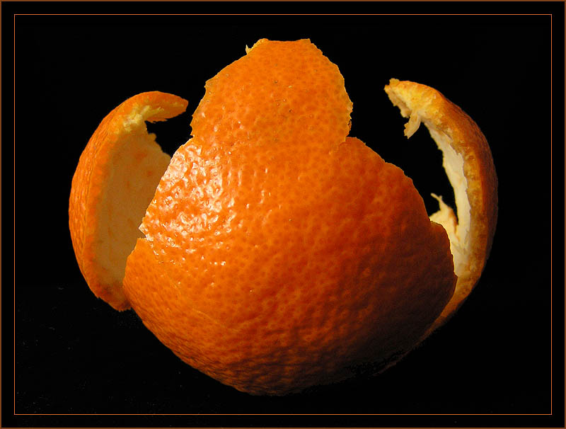 photo "Tangerine Dream" tags: still life, macro and close-up, 