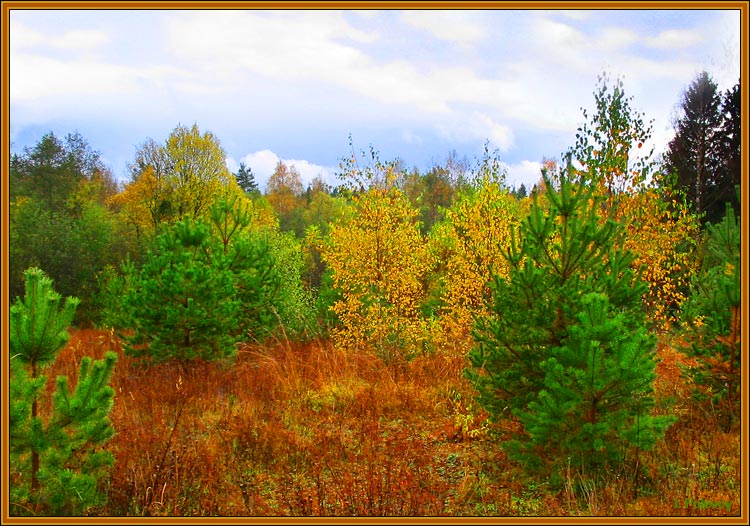 photo "*.*.*.*" tags: landscape, autumn