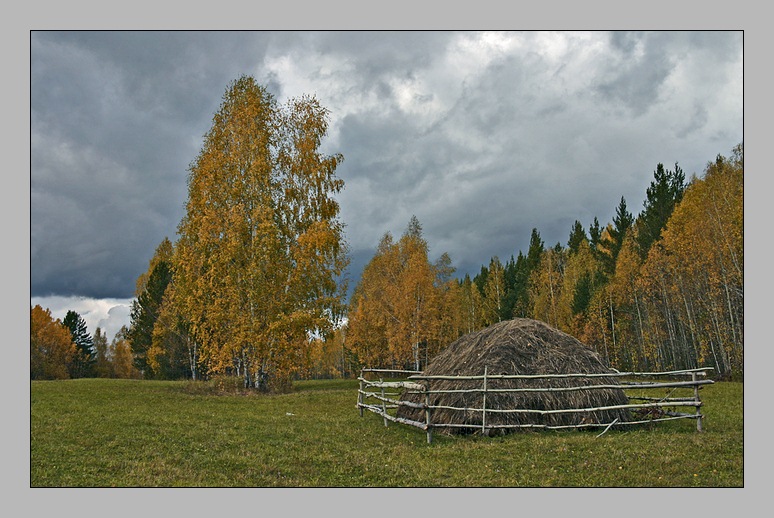 photo "Gloomy sky" tags: nature, 