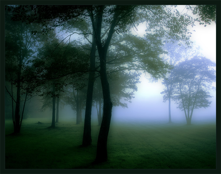 photo "Millwood II" tags: misc., 