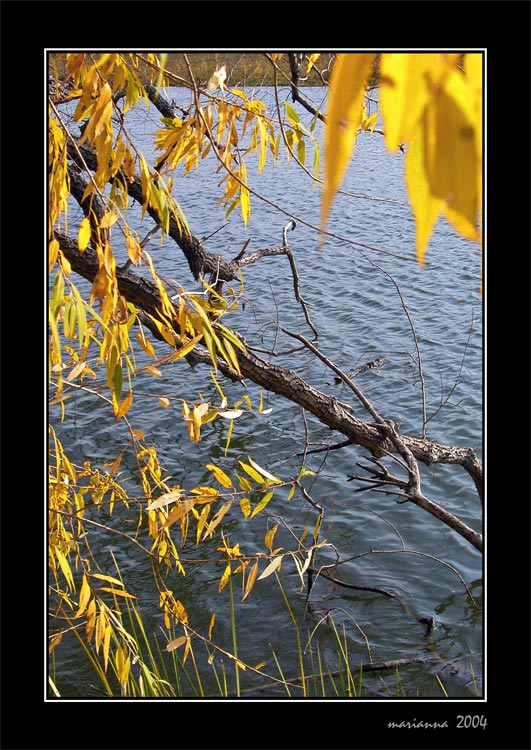 photo "Elegy" tags: misc., landscape, autumn