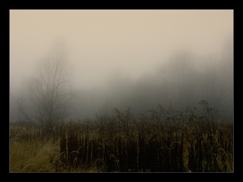 photo "Auschwitz - Alone in park" tags: misc., 