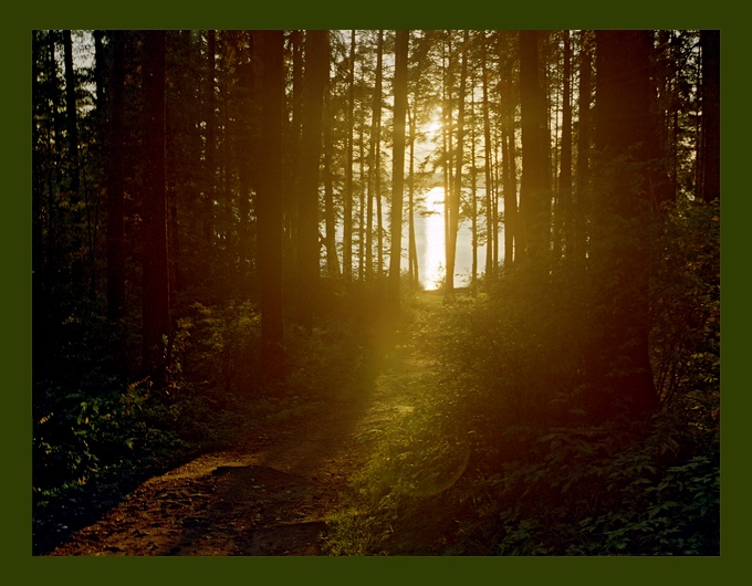 photo "Exit" tags: landscape, forest, sunset