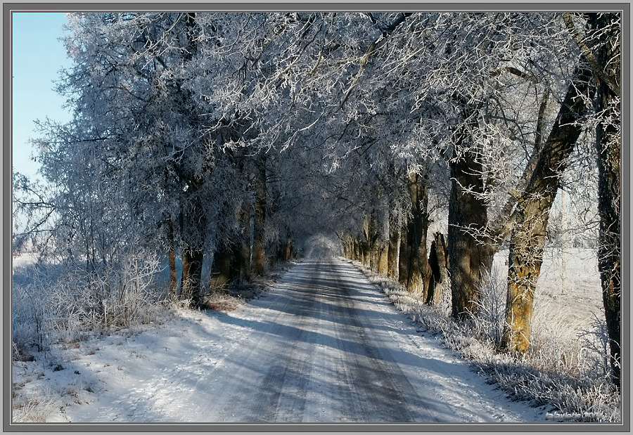 фото "дoлгaя дoрoгa..." метки: пейзаж, зима