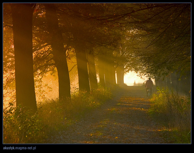 фото "odra 4" метки: пейзаж, закат, осень