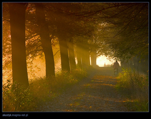 photo "odra 4" tags: landscape, autumn, sunset