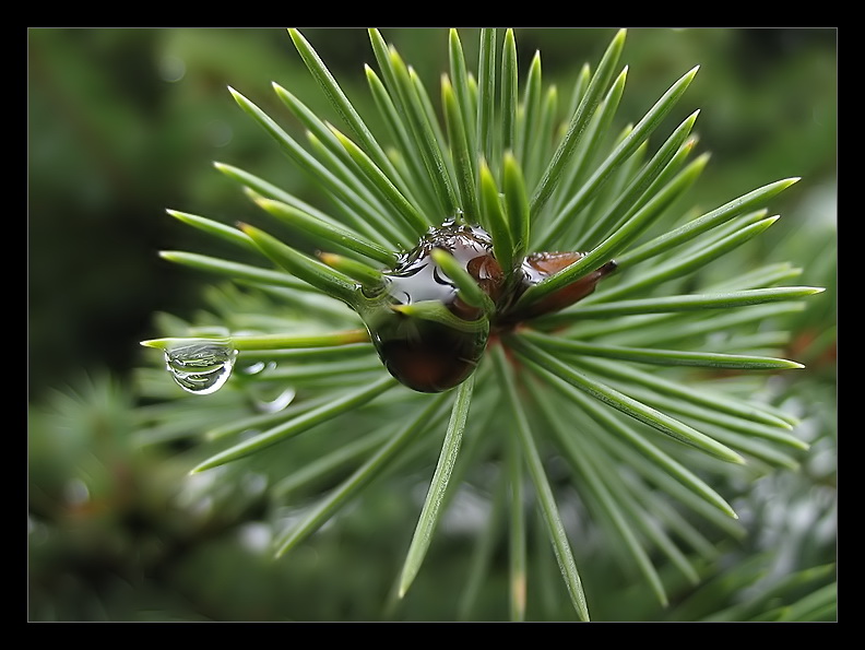 фото "Tear" метки: разное, 