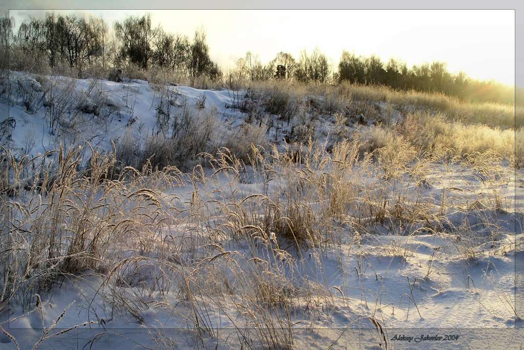 фото "Морозное утро" метки: пейзаж, природа, зима