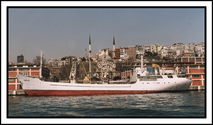 photo "Istunbul: veiw from Bosporus" tags: travel, architecture, landscape, Europe