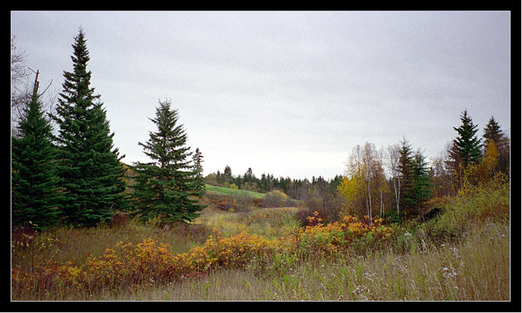 photo "It may look like Russia, however it`s Canada." tags: travel, landscape, North America, forest