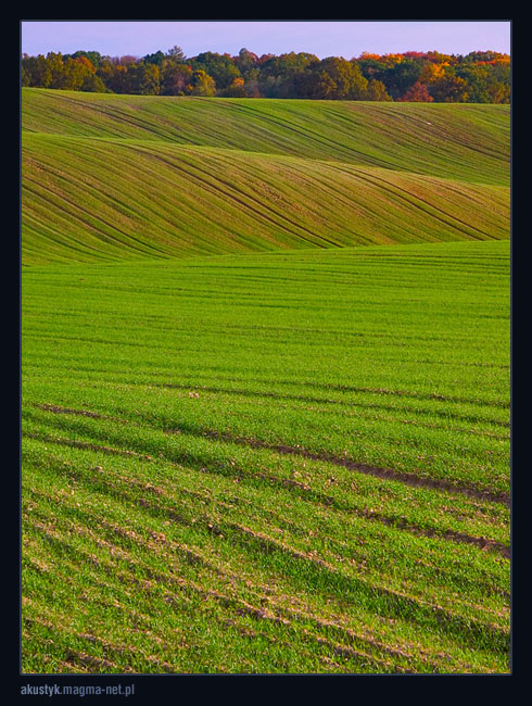 photo "kocie gory 1" tags: landscape, autumn