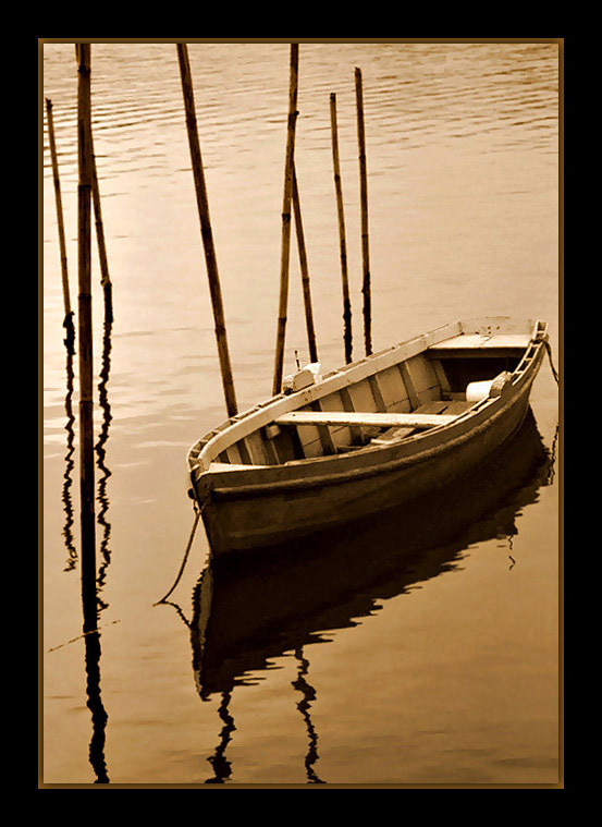 фото "Solitary..." метки: пейзаж, вода