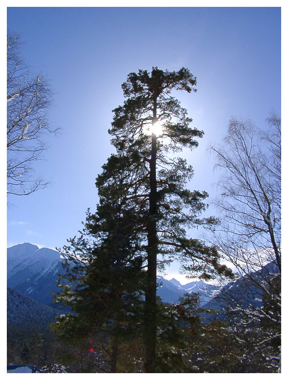 фото "Архыз 2" метки: пейзаж, горы, зима