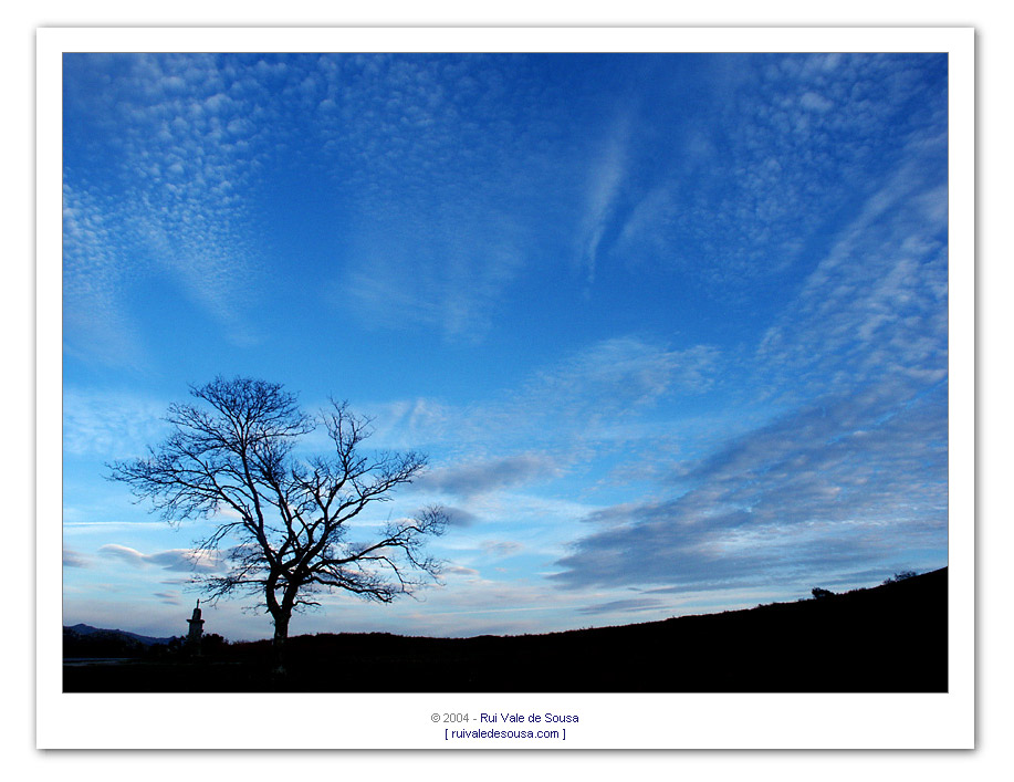 фото "blue" метки: разное, 