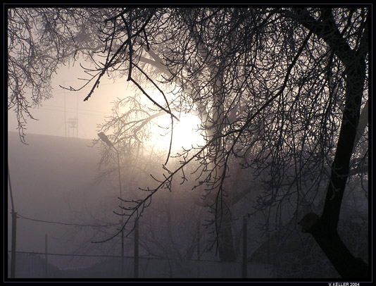 фото "Утренний туман" метки: пейзаж, природа, 