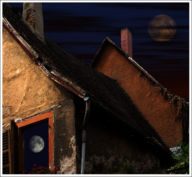 photo "3544" tags: montage, 