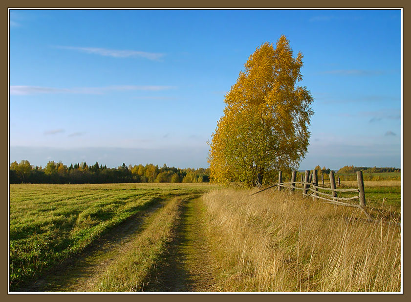 фото "Светлая октябрьская картинка" метки: пейзаж, осень