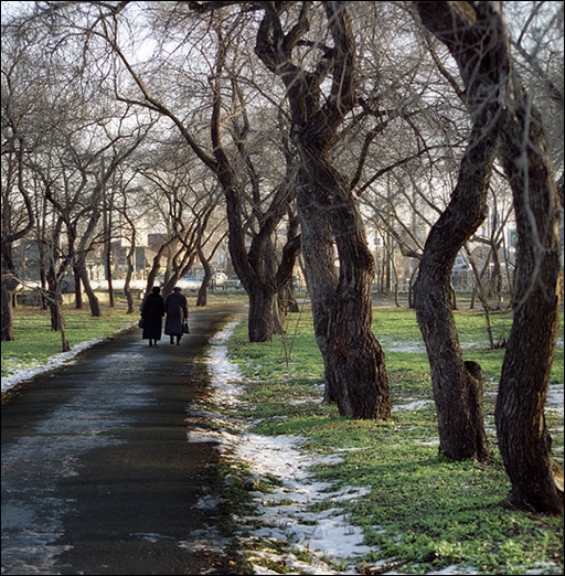 photo "The Walk in a park." tags: landscape, autumn