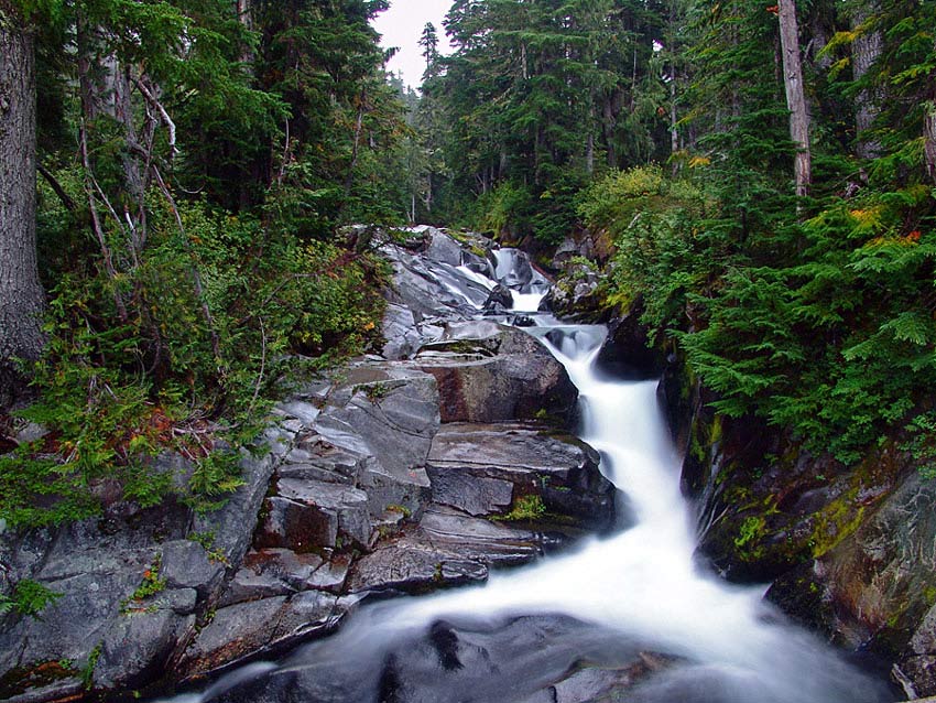 photo "rain`s end" tags: landscape, forest, water