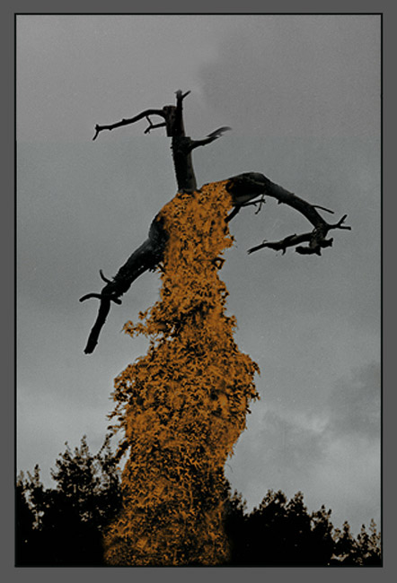 photo "Autumn" tags: misc., 